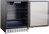 TrueFlame 24-Inch Outdoor Rated Refrigerator